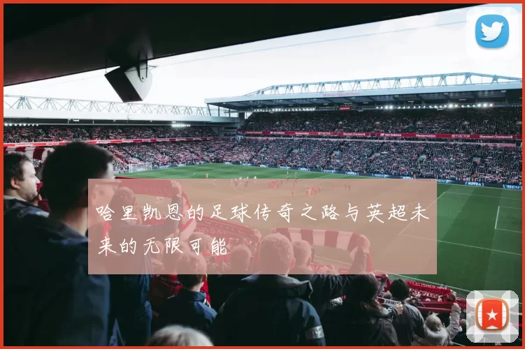 哈里凯恩的足球传奇之路与英超未来的无限可能