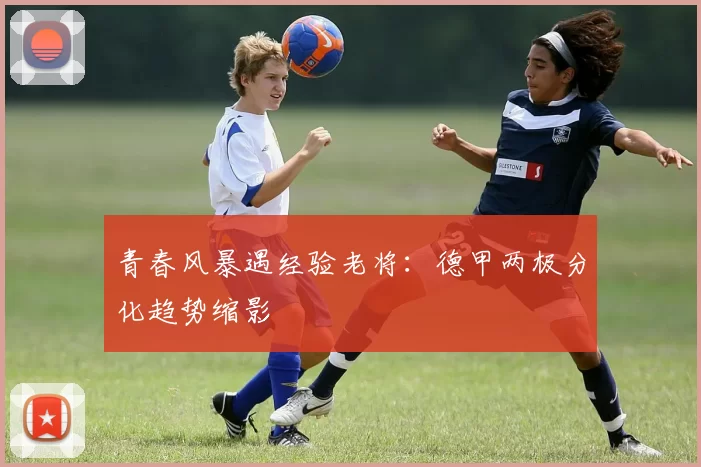 青春风暴遇经验老将：德甲两极分化趋势缩影